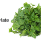 Illustration for article titled Is Cilantro Hating Genetic?